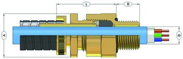 Cable Glands type A*RCC